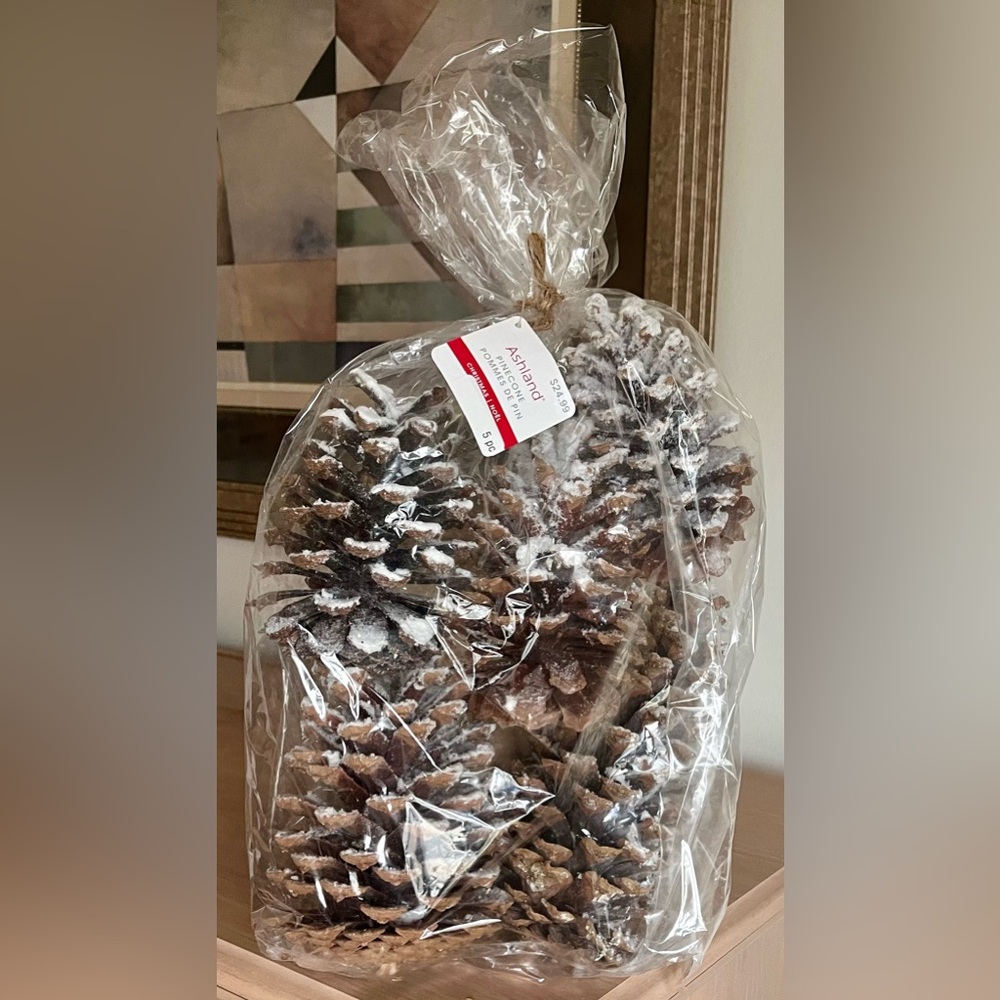 Pinecones (NWT) white snow 5 pc $24.99 home decor